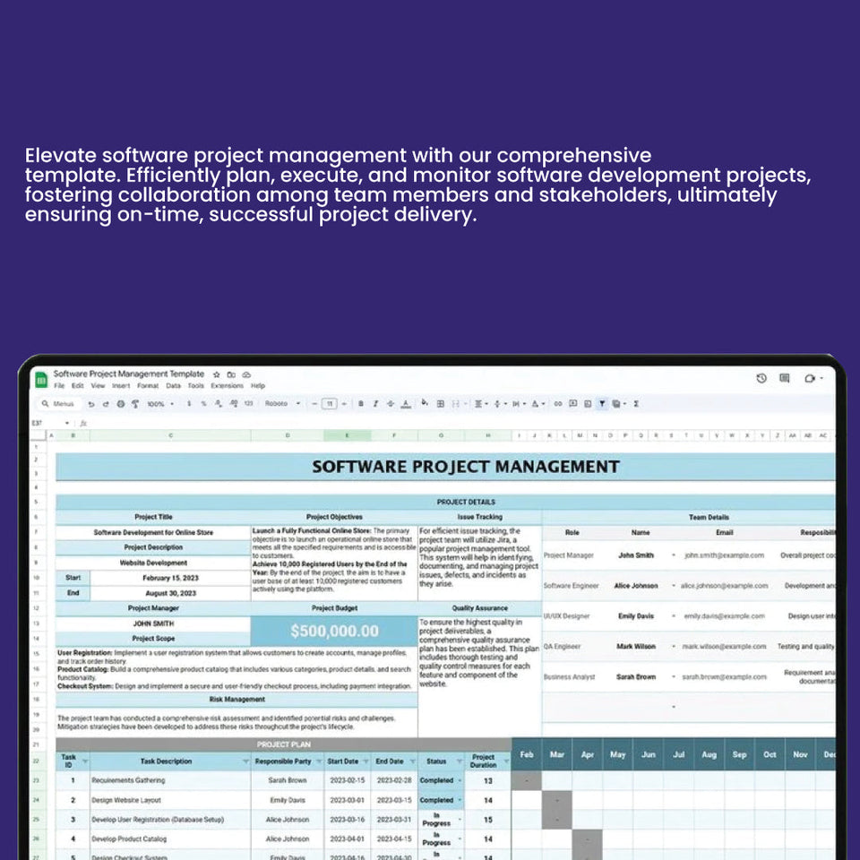 Software Project Management Template